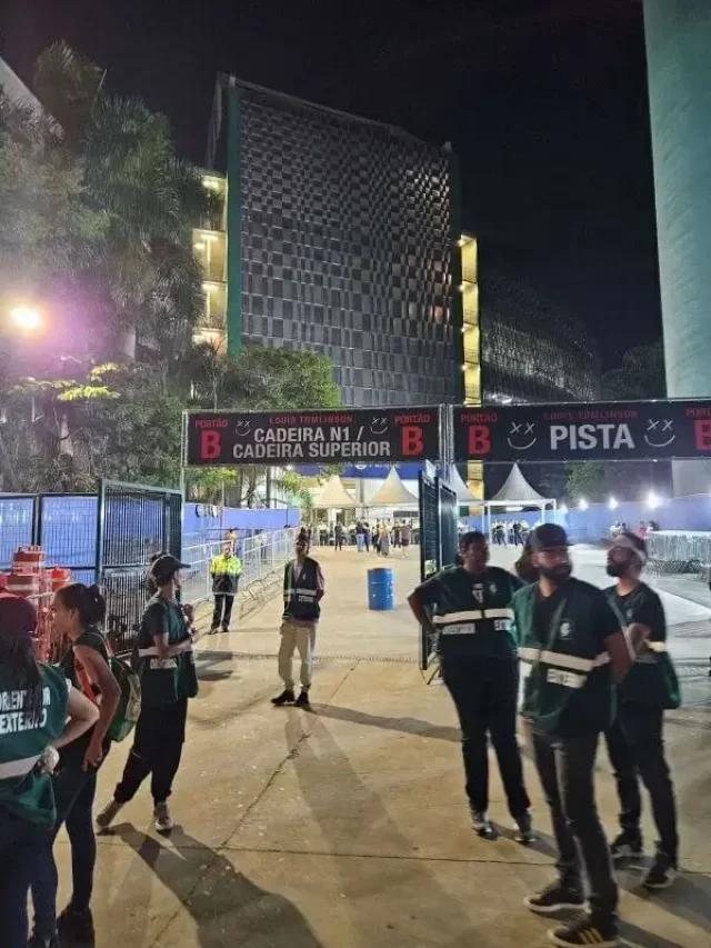 Melhor lugar para ver show no Allianz Parque | Malas e Destinos
