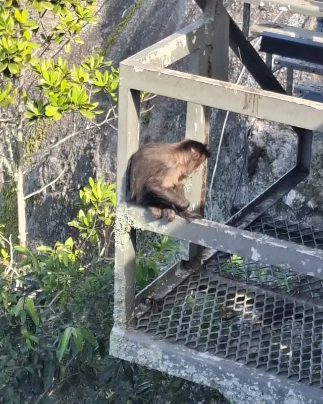Cristo Redentor: guia completo para visitar a Sétima Maravilha do Rio de Janeiro