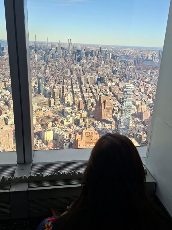 Melhor observatório de Nova York: qual vale mais a pena?