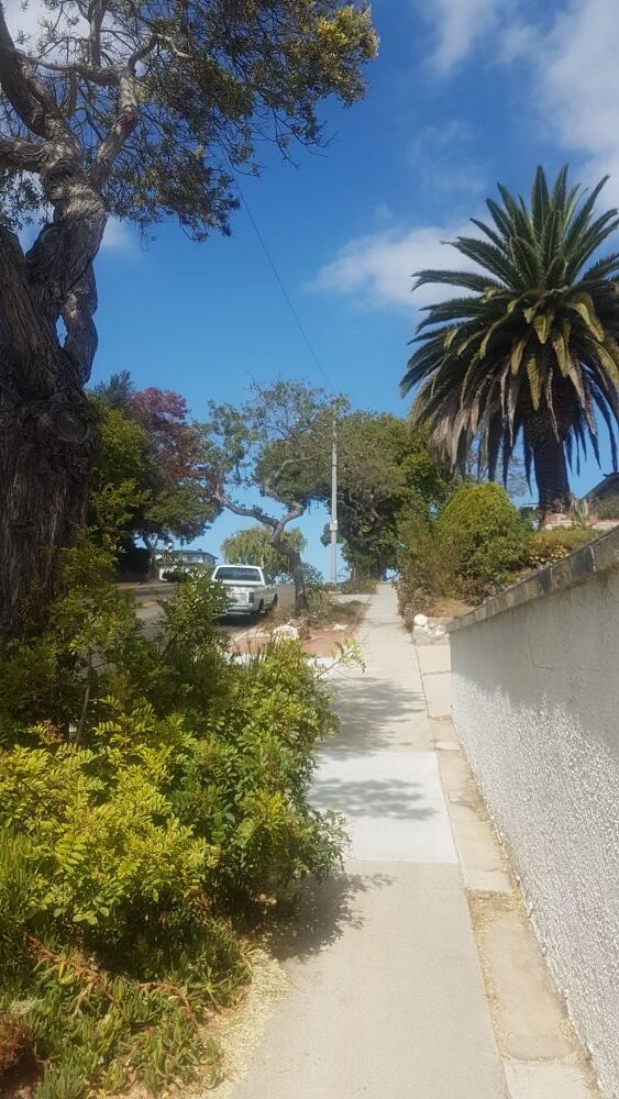 Rua residencial no bairro onde Fernanda morou durante um intercâmbio em Torrance, na Califórnia.